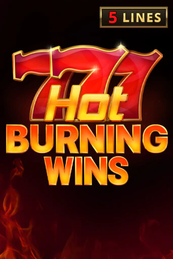 Hot Burning Wins демо игровой автомат | ВАВАДА бесплатно