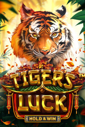 Tiger's Luck - Hold & Win демо игровой автомат | ВАВАДА бесплатно