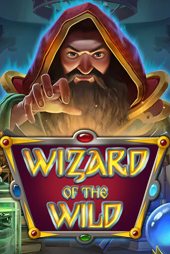 Wizard of the Wild демо игровой автомат | ВАВАДА бесплатно