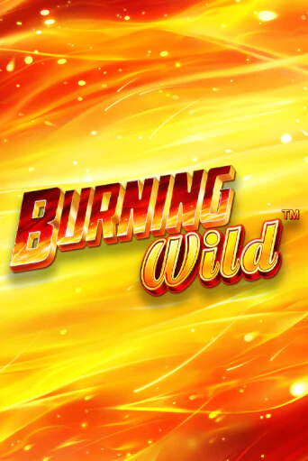 Burning Wild демо игровой автомат | ВАВАДА бесплатно