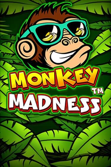 Monkey Madness демо игровой автомат | ВАВАДА бесплатно